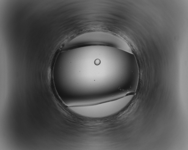 X0000093410397200710121121