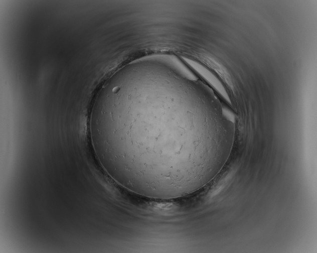 X0000093410401200710121121