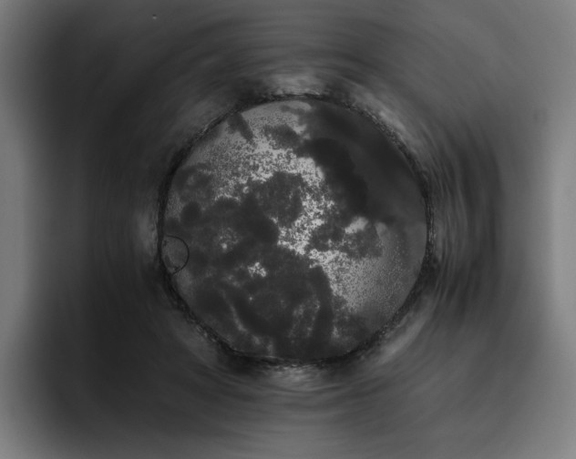 X0000093410402200710121121