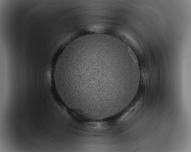 X0000093410404200710121121