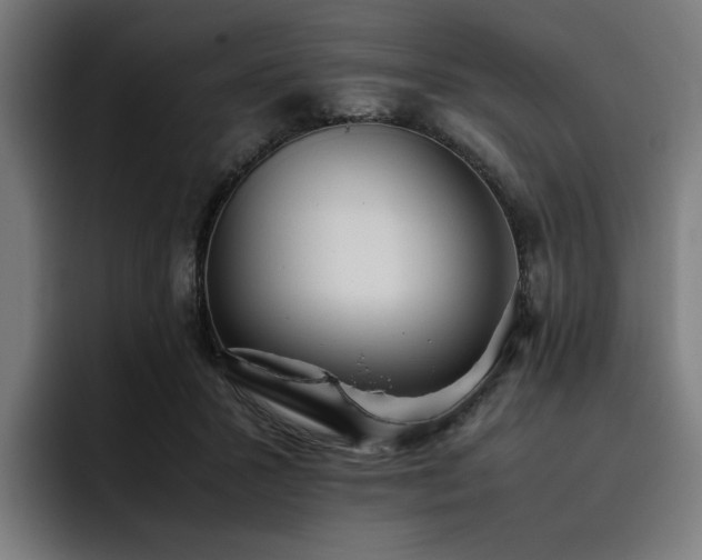 X0000093410407200710121121