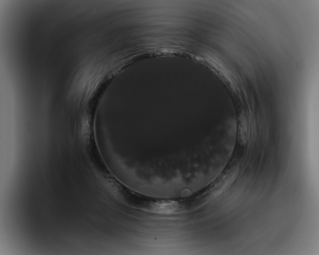 X0000093410410200710121121