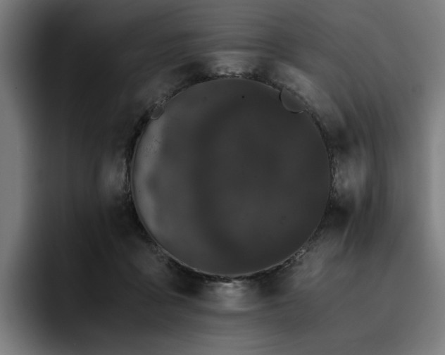 X0000093410411200710121121