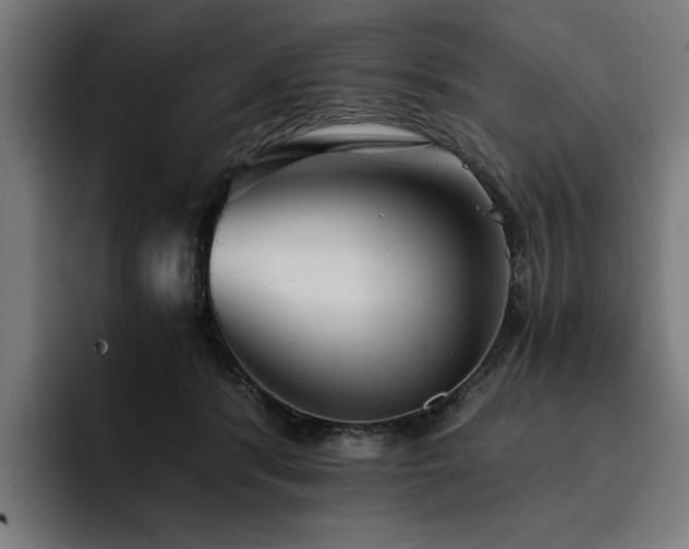 X0000093410416200710121121