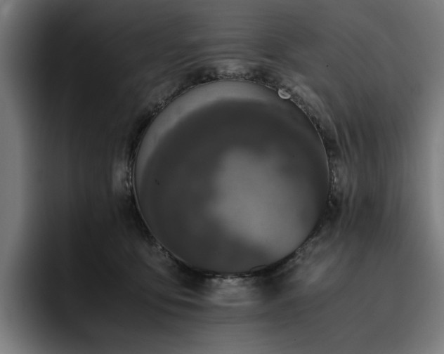 X0000093410419200710121121