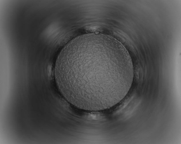 X0000093410420200710121121