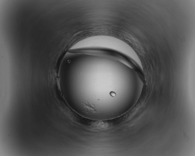 X0000093410421200710121121