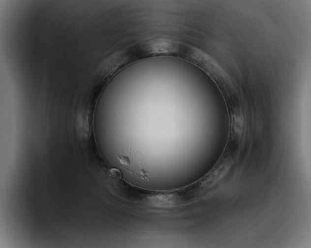 X0000093410422200710121121