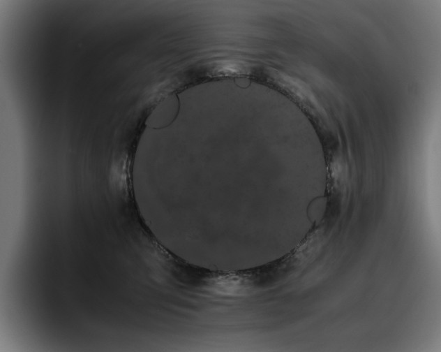 X0000093410423200710121121