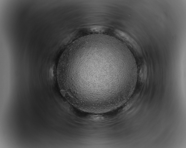 X0000093410424200710121121