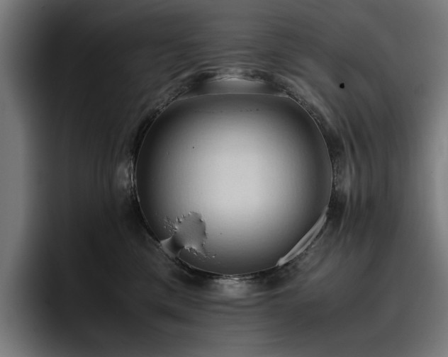 X0000093410425200710121121