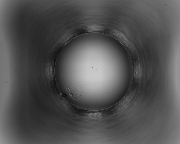 X0000093410426200710121121