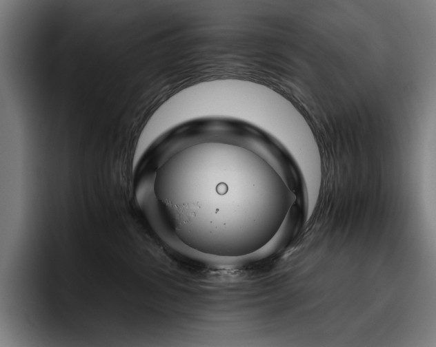 X0000093410428200710121121