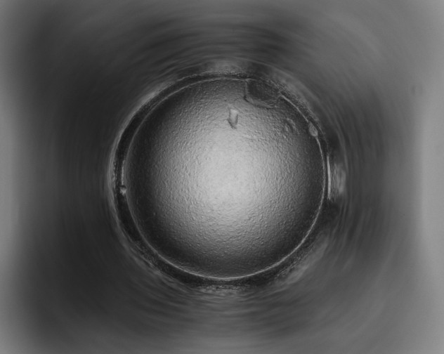 X0000093410435200710121120