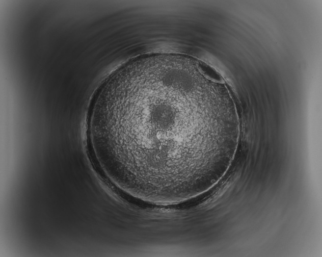 X0000093410437200710121120