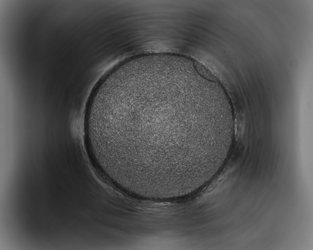 X0000093410438200710121120