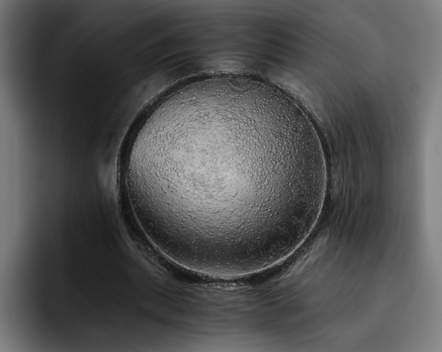 X0000093410439200710121120