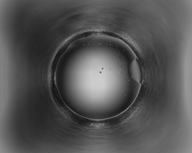 X0000093410440200710121120