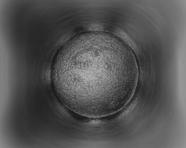 X0000093410441200710121120