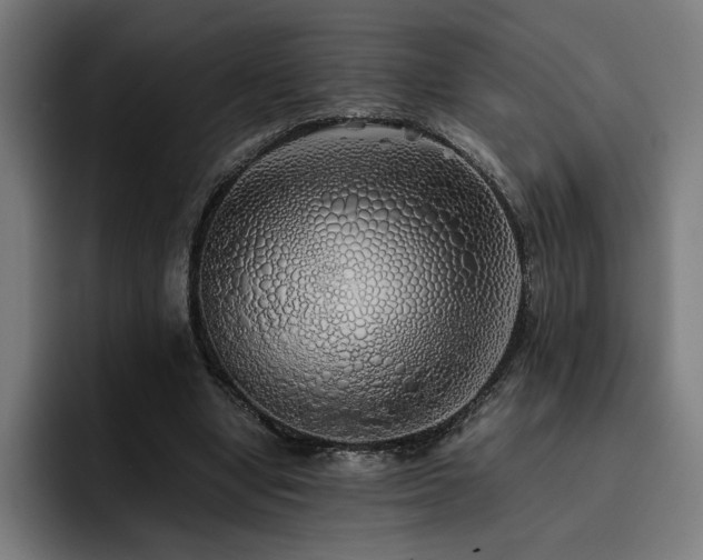 X0000093410442200710121120