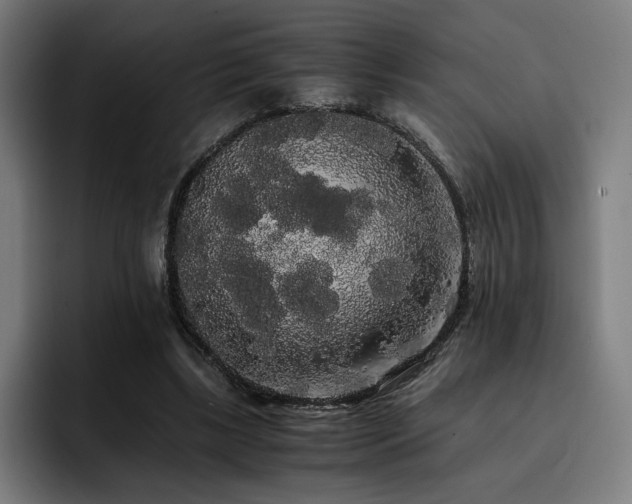 X0000093410443200710121120