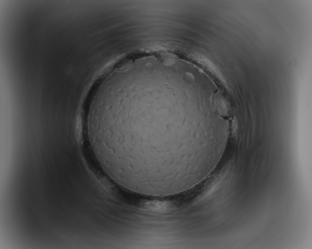 X0000093410444200710121120