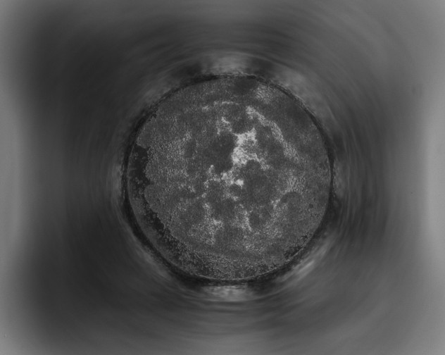 X0000093410449200710121120