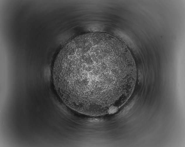 X0000093410453200710121120