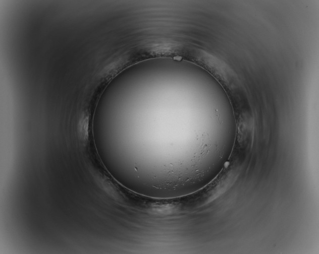 X0000093410454200710121120