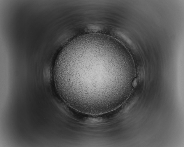 X0000093410455200710121120