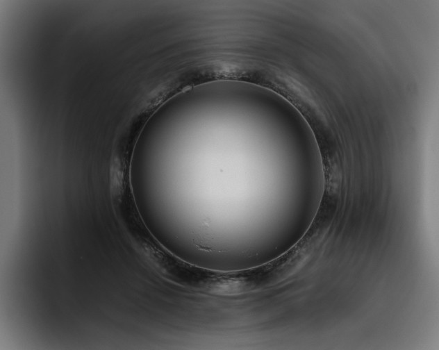 X0000093410456200710121120