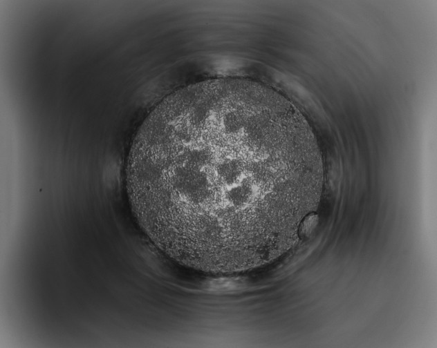 X0000093410461200710121120