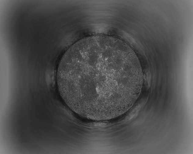 X0000093410462200710121120