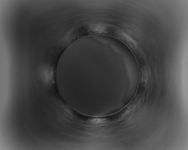 X0000093410465200710121120