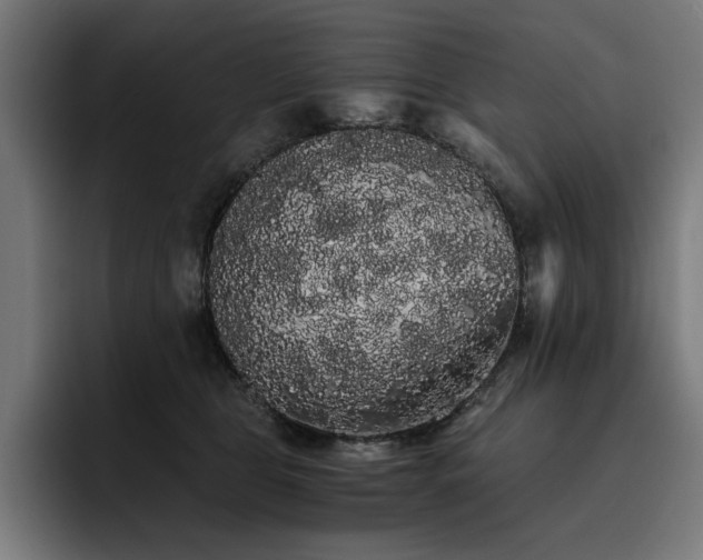 X0000093410469200710121121