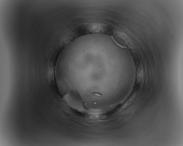 X0000093410473200710121121