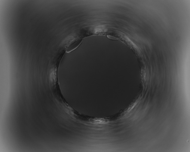 X0000093410475200710121121