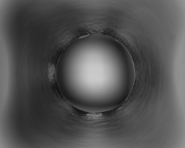 X0000093410480200710121121