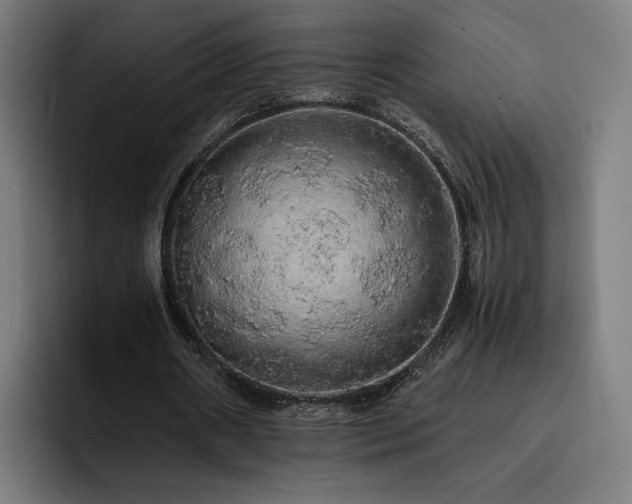 X0000093410482200710121120