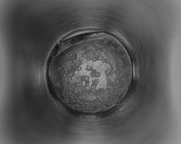 X0000093410483200710121120