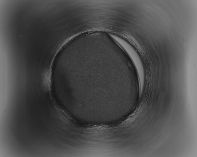 X0000093410484200710121120