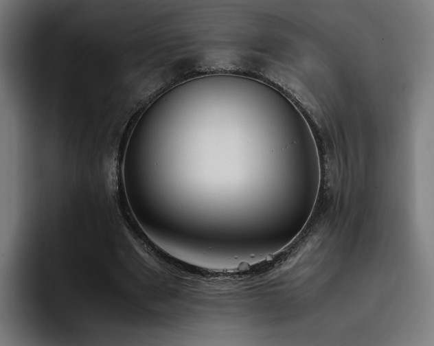 X0000093410489200710121120