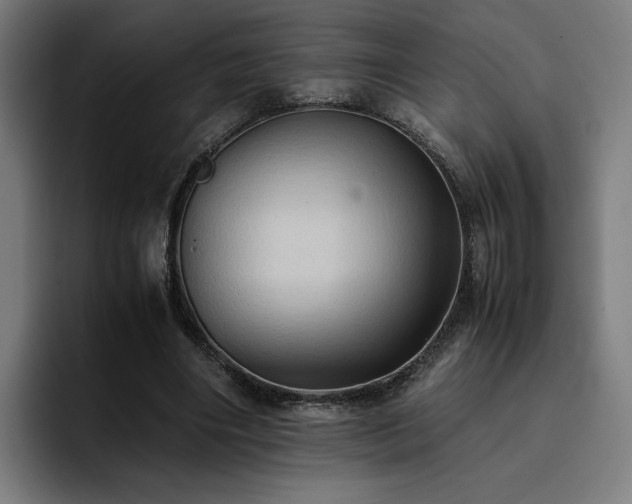 X0000093410490200710121120