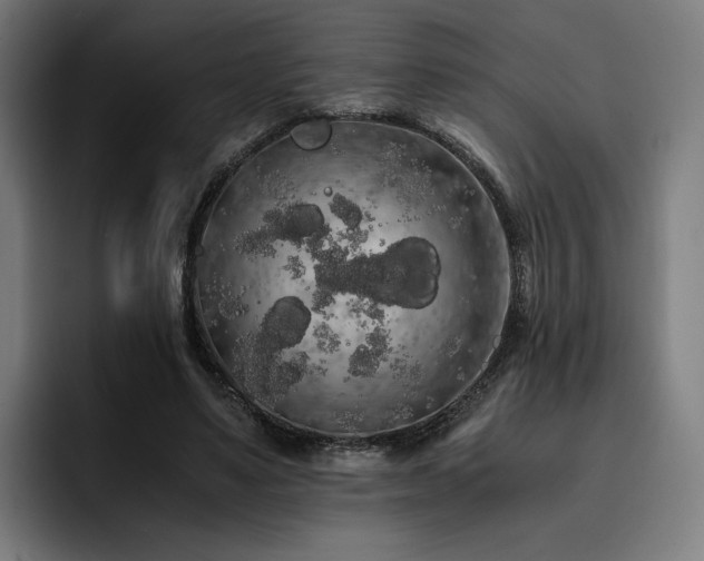 X0000093410491200710121120