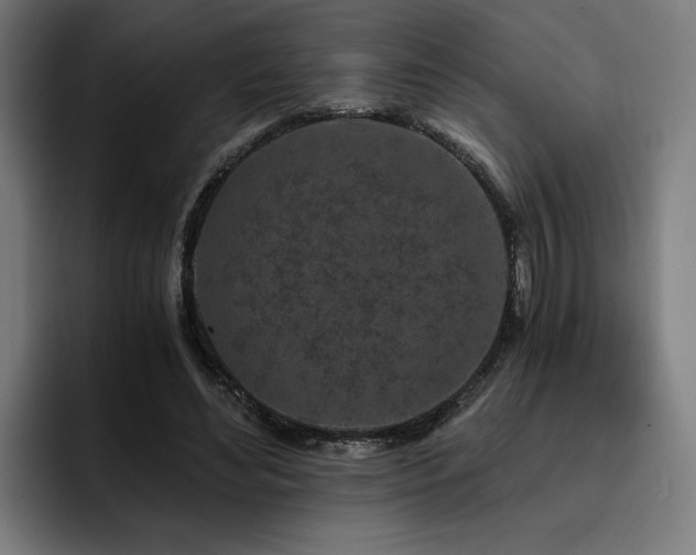 X0000093410492200710121120