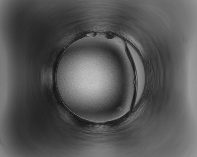 X0000093410493200710121120