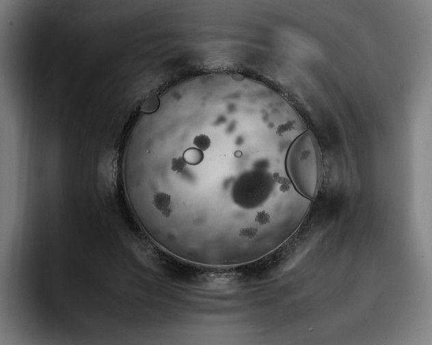 X0000093410495200710121120