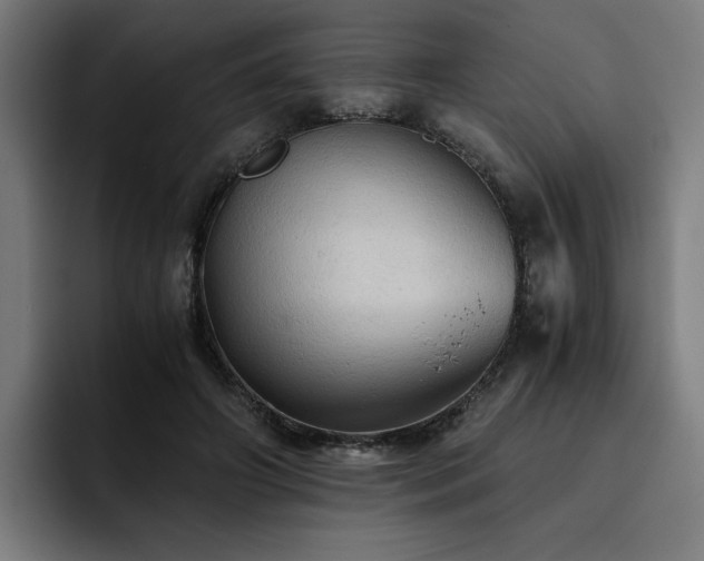 X0000093410498200710121120