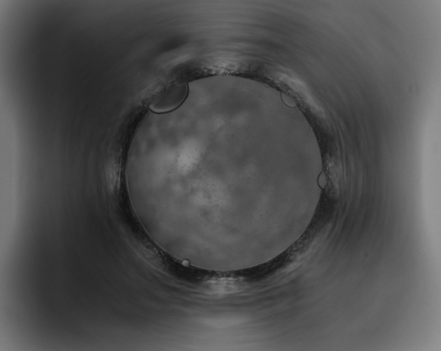 X0000093410499200710121120