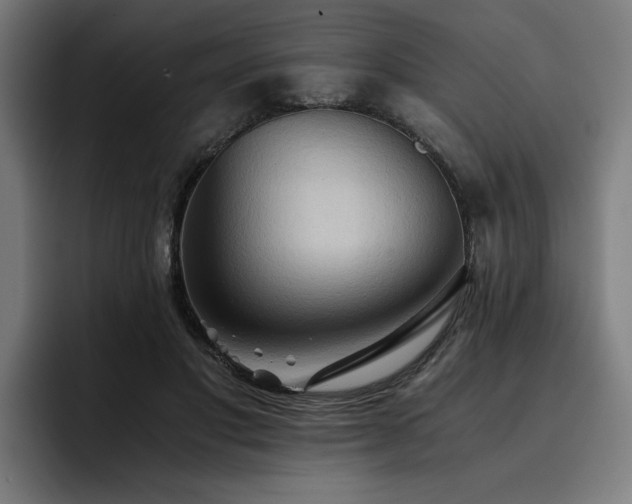 X0000093410501200710121120